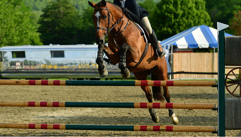 Horse jumping over obstacle